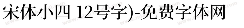 宋体小四 12号字)字体转换